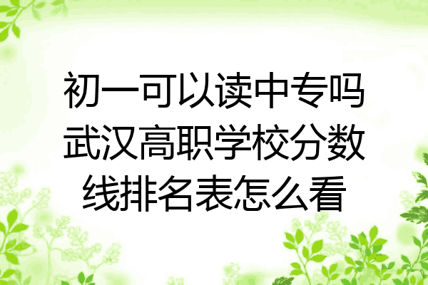初一可以读中专吗武汉高职学校分数线排名表怎么看