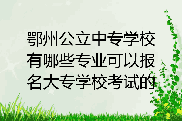 鄂州公立中专学校有哪些专业可以报名大专学校考试的