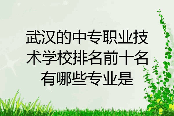武汉的中专职业技术学校排名前十名有哪些专业是