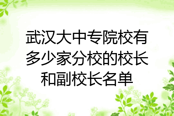 武汉大中专院校有多少家分校的校长和副校长名单