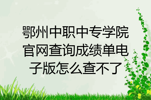 鄂州中职中专学院官网查询成绩单电子版怎么查不了