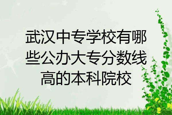 武汉中专学校有哪些公办大专分数线高的本科院校