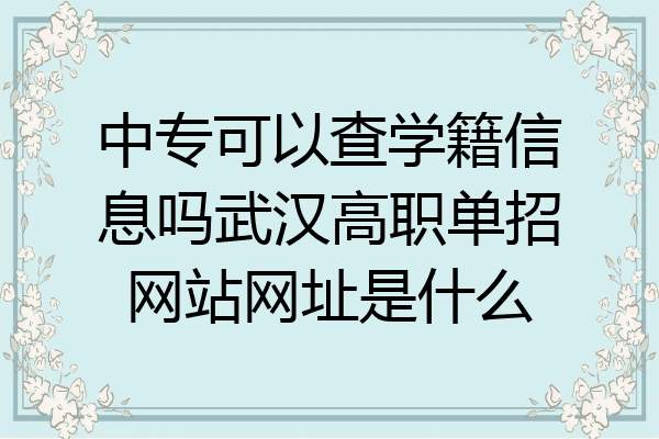 中专可以查学籍信息吗武汉高职单招网站网址是什么