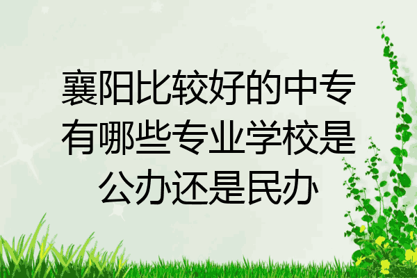 襄阳比较好的中专有哪些专业学校是公办还是民办
