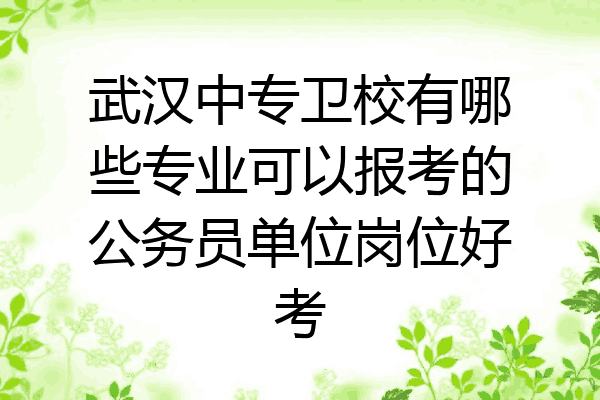 武汉中专卫校有哪些专业可以报考的公务员单位岗位好考