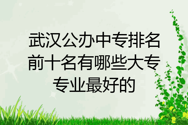 武汉公办中专排名前十名有哪些大专专业最好的