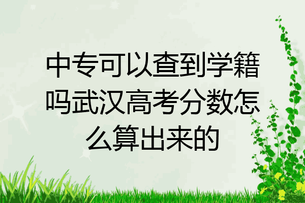 中专可以查到学籍吗武汉高考分数怎么算出来的