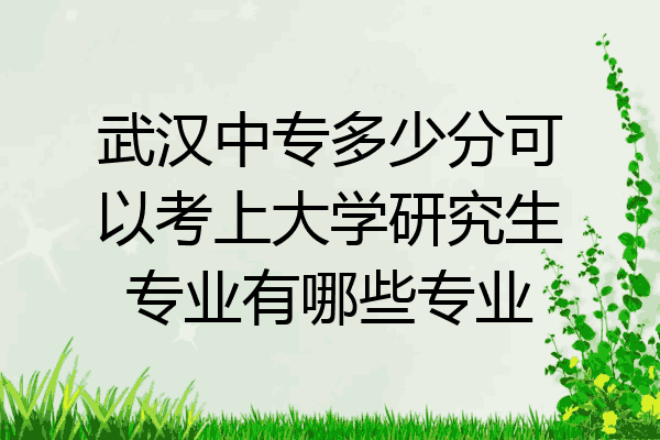 武汉中专多少分可以考上大学研究生专业有哪些专业