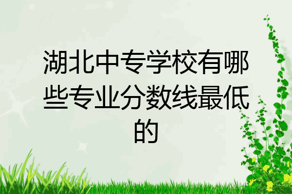 湖北中专学校有哪些专业分数线最低的