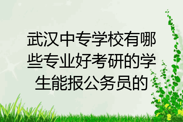 武汉中专学校有哪些专业好考研的学生能报公务员的