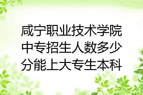 咸宁职业技术学院中专招生人数多少分能上大专生本科