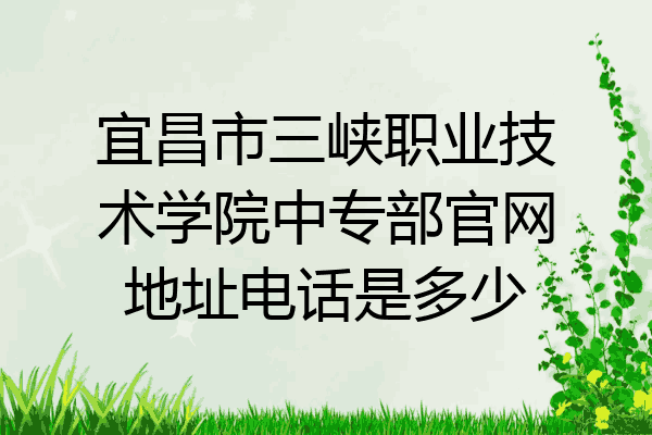 宜昌市三峡职业技术学院中专部官网地址电话是多少