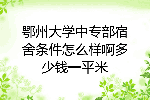 鄂州大学中专部宿舍条件怎么样啊多少钱一平米