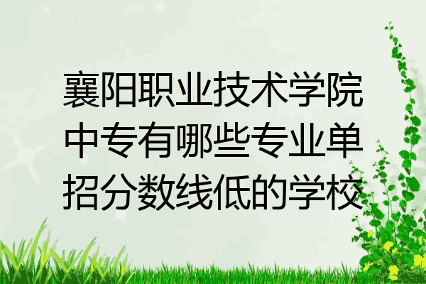 襄阳职业技术学院中专有哪些专业单招分数线低的学校