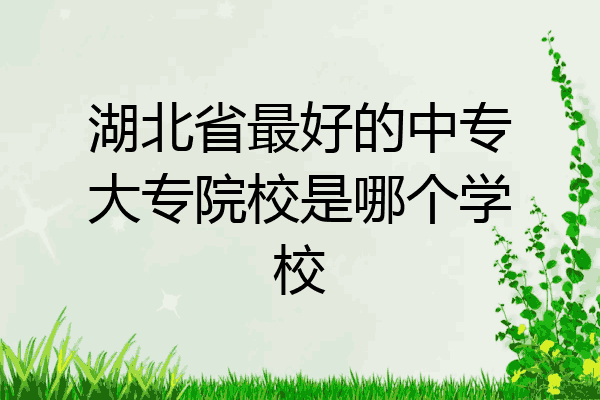 湖北省最好的中专大专院校是哪个学校