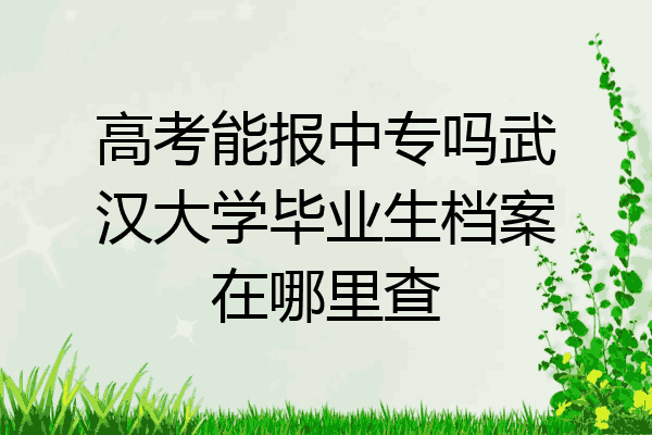 高考能报中专吗武汉大学毕业生档案在哪里查