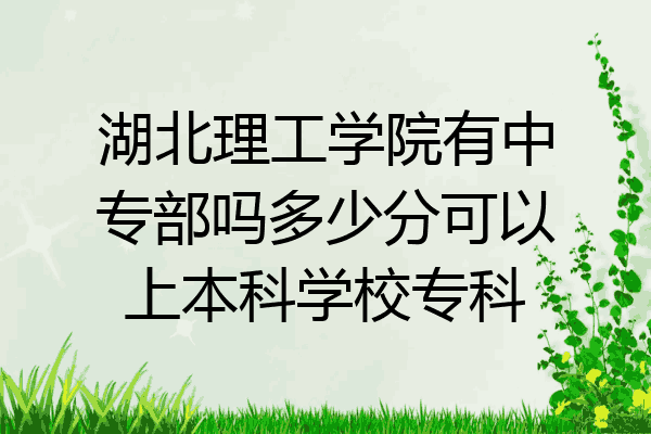 湖北理工学院有中专部吗多少分可以上本科学校专科