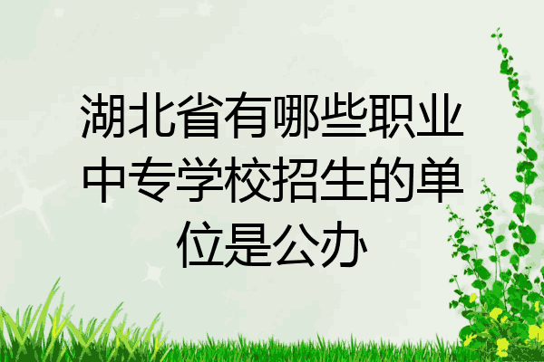 湖北省有哪些职业中专学校招生的单位是公办