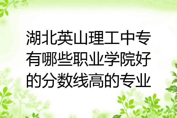 湖北英山理工中专有哪些职业学院好的分数线高的专业