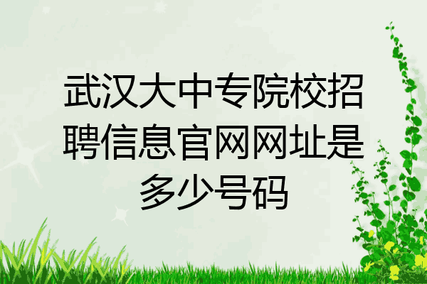 武汉大中专院校招聘信息官网网址是多少号码