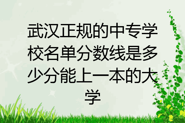 武汉正规的中专学校名单分数线是多少分能上一本的大学