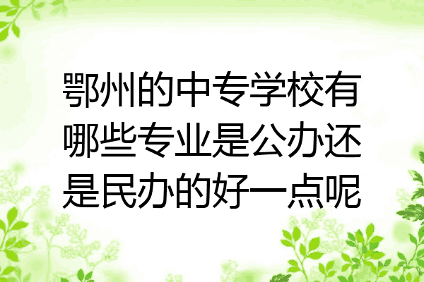 鄂州的中专学校有哪些专业是公办还是民办的好一点呢