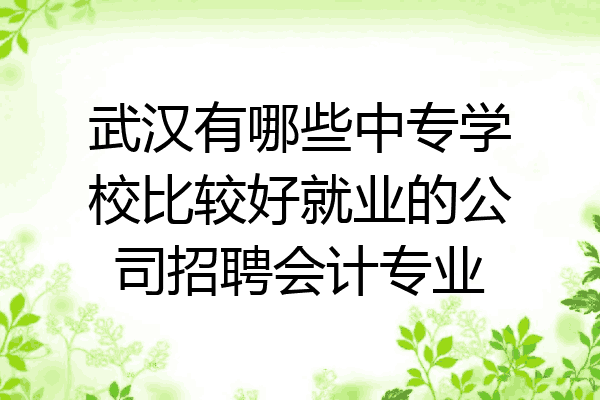 武汉有哪些中专学校比较好就业的公司招聘会计专业