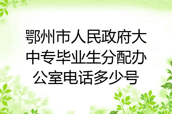 鄂州市人民政府大中专毕业生分配办公室电话多少号