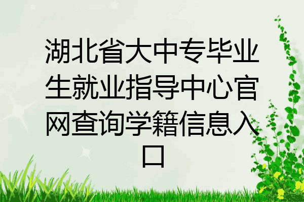 湖北省大中专毕业生就业指导中心官网查询学籍信息入口