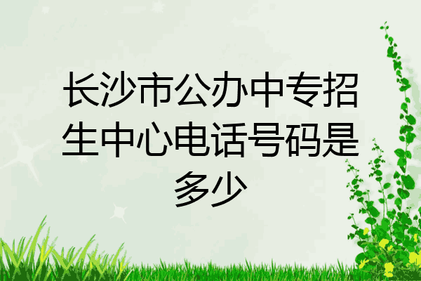 长沙市公办中专招生中心电话号码是多少