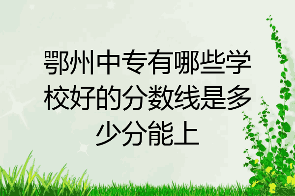 鄂州中专有哪些学校好的分数线是多少分能上