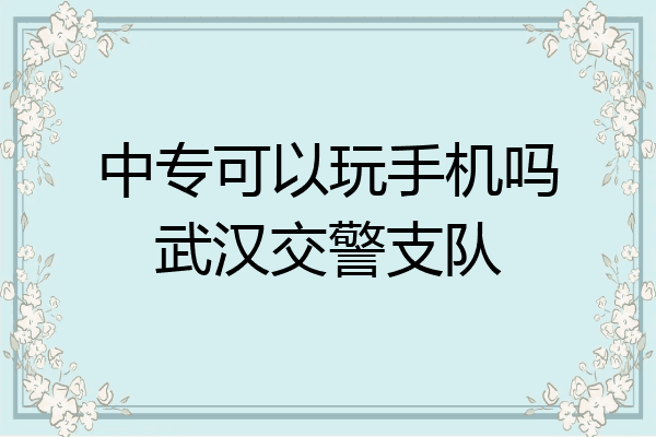 中专可以玩手机吗武汉交警支队