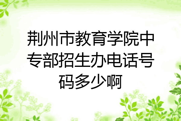 荆州市教育学院中专部招生办电话号码多少啊