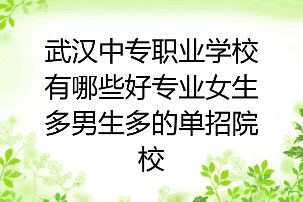 武汉中专职业学校有哪些好专业女生多男生多的单招院校