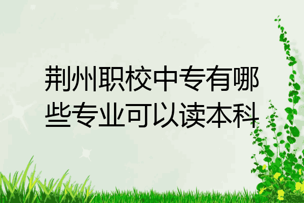 荆州职校中专有哪些专业可以读本科