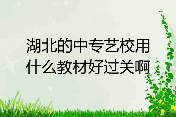 湖北的中专艺校用什么教材好过关啊