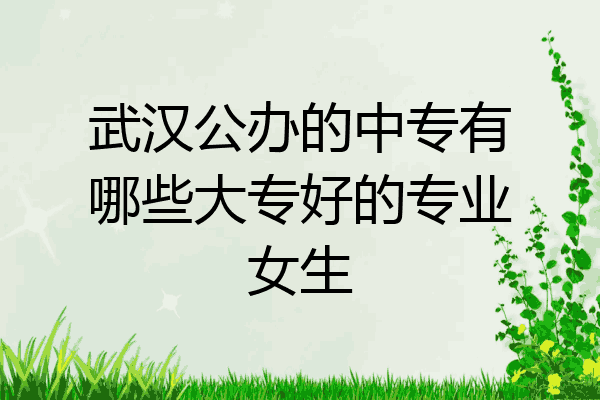 武汉公办的中专有哪些大专好的专业女生