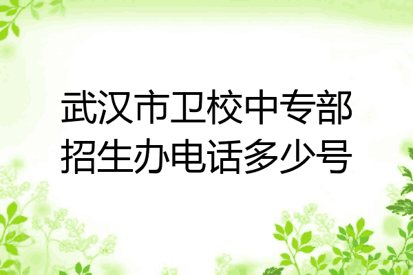 武汉市卫校中专部招生办电话多少号