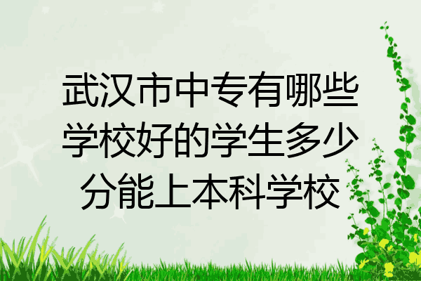 武汉市中专有哪些学校好的学生多少分能上本科学校