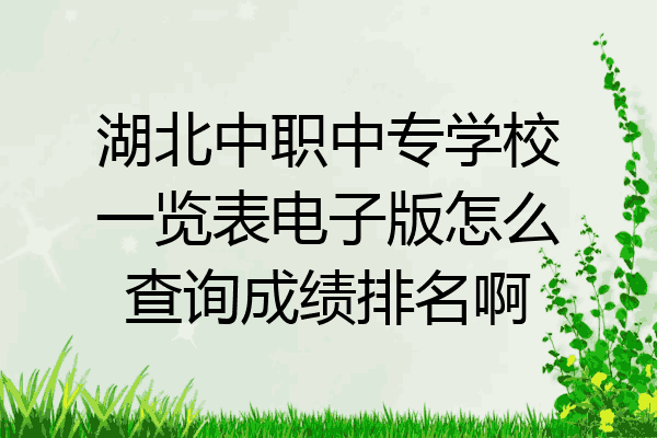 湖北中职中专学校一览表电子版怎么查询成绩排名啊