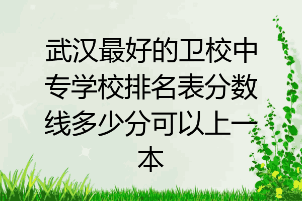 武汉最好的卫校中专学校排名表分数线多少分可以上一本