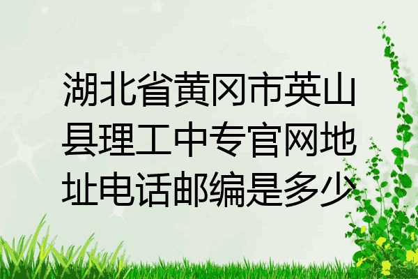 湖北省黄冈市英山县理工中专官网地址电话邮编是多少