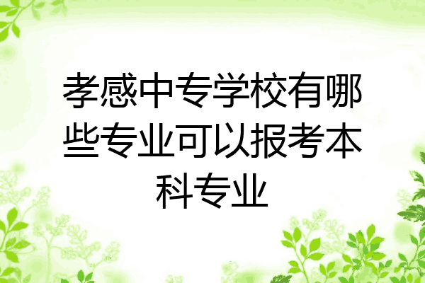 孝感中专学校有哪些专业可以报考本科专业
