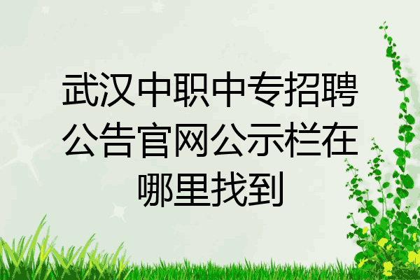 武汉中职中专招聘公告官网公示栏在哪里找到