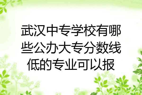 武汉中专学校有哪些公办大专分数线低的专业可以报