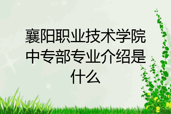 襄阳职业技术学院中专部专业介绍是什么