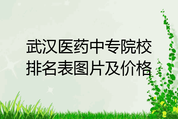 武汉医药中专院校排名表图片及价格