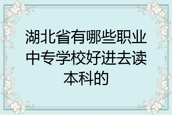 湖北省有哪些职业中专学校好进去读本科的