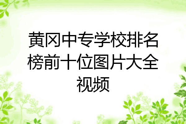 黄冈中专学校排名榜前十位图片大全视频