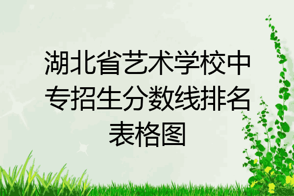 湖北省艺术学校中专招生分数线排名表格图
